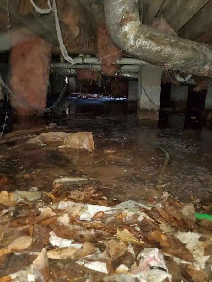 Crawl space flood assessment for Commercial Water Damage Restoration in Orange City