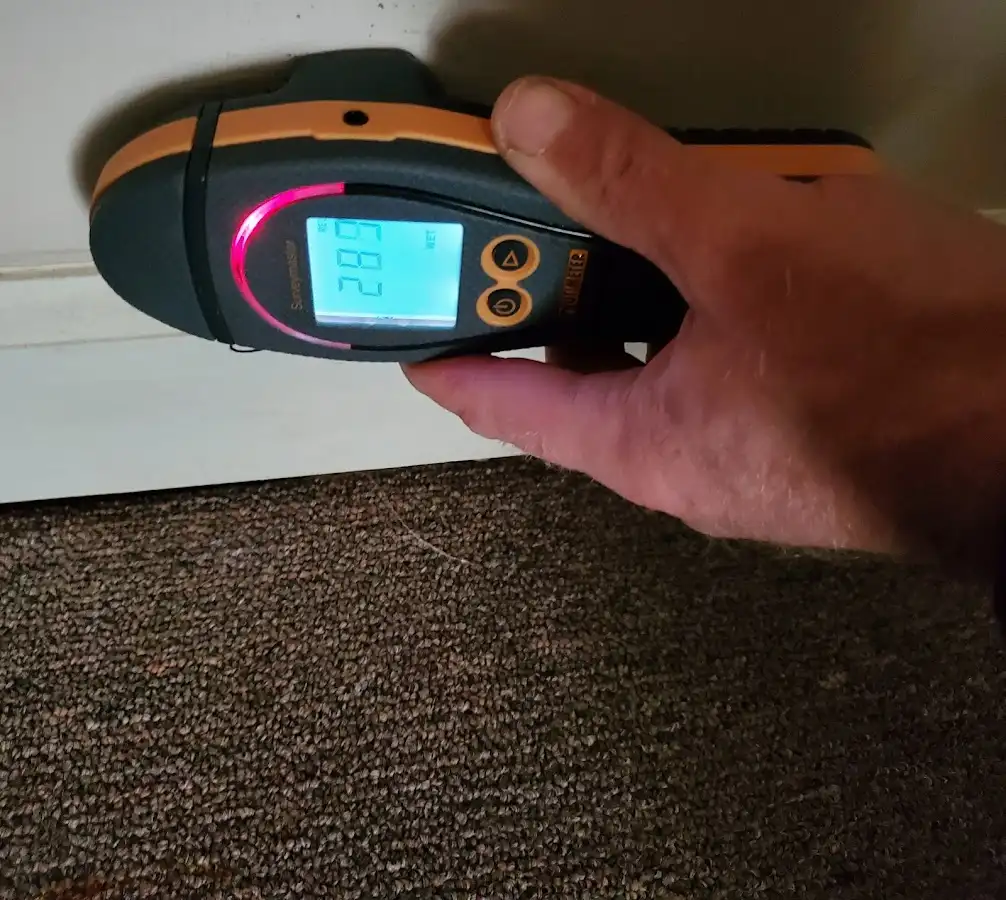 Moisture detection at baseboard during Sewage Cleanup & Sanitation in Orange City