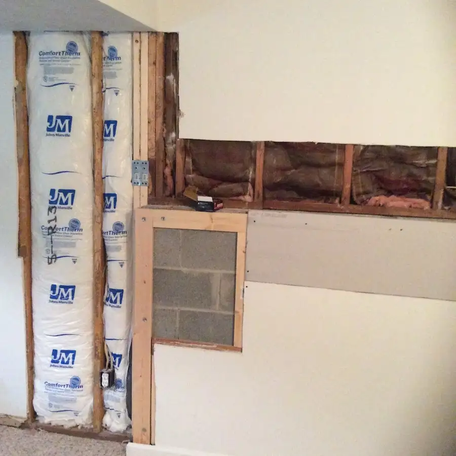Wall insulation replacement during Basement Flood Cleanup in Orange City